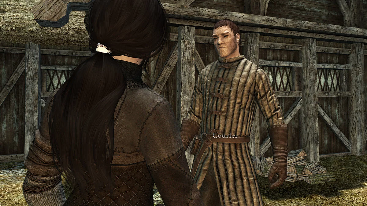 The Elder Scrolls 5: Skyrim Legendary Edition — Теплая одежда для курьера
