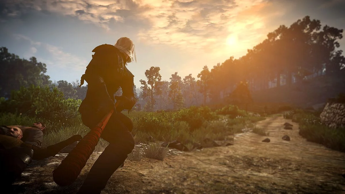 The Witcher 3: Wild Hunt — Люсиль из Ходячих Мертвецов