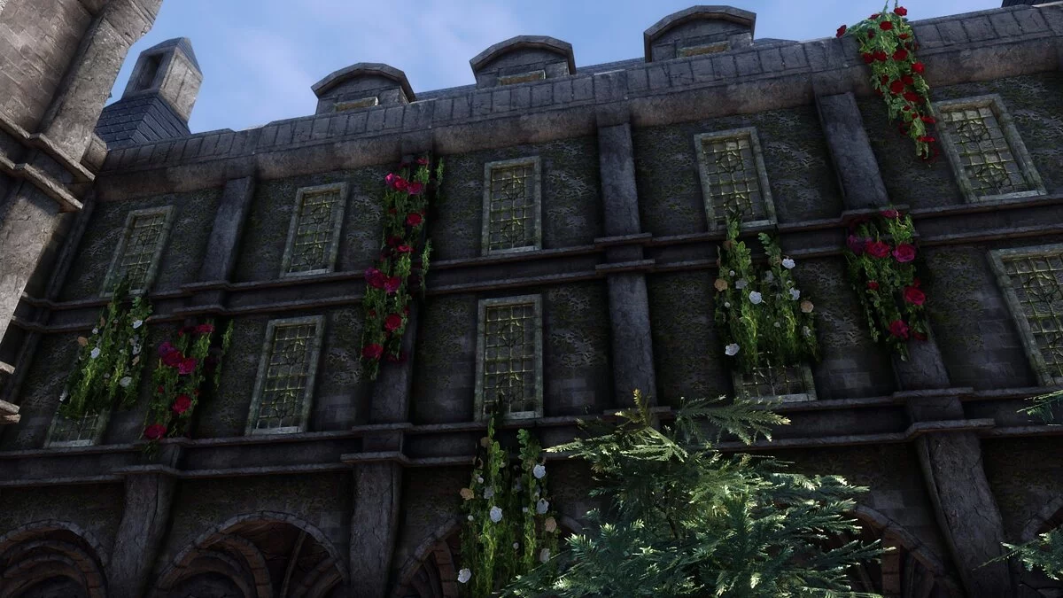 Elder Scrolls 5: Skyrim Special Edition — Плетистые розы вместо висячего мха