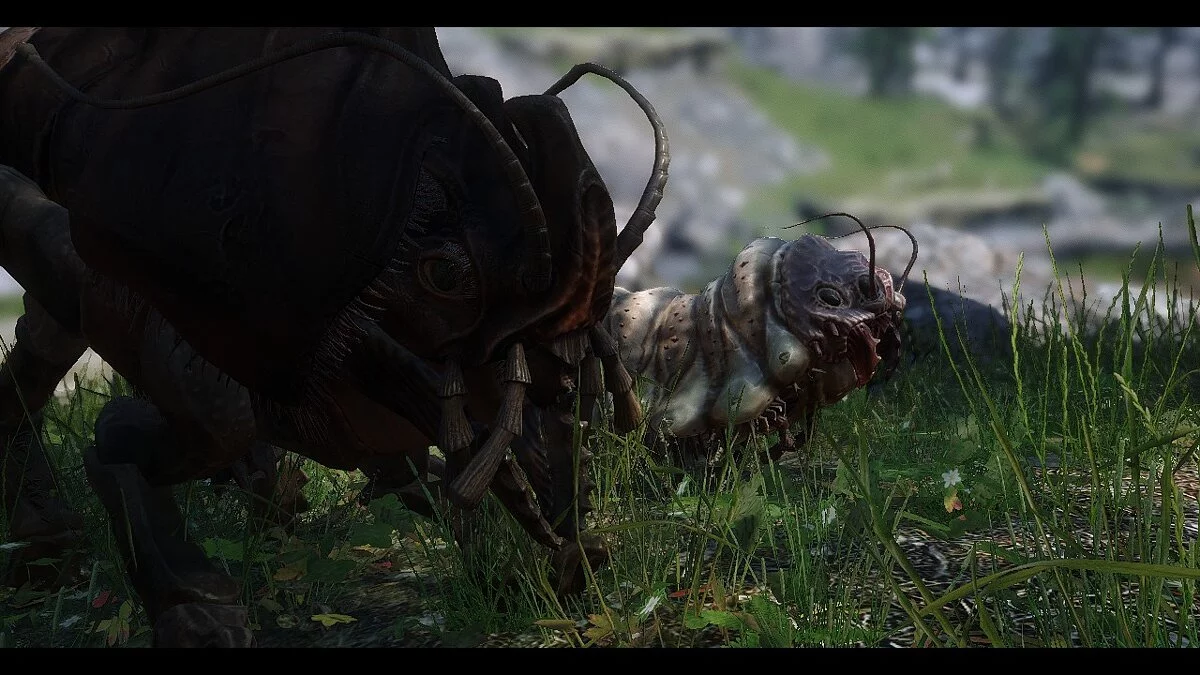 Elder Scrolls 5: Skyrim Special Edition — Квама