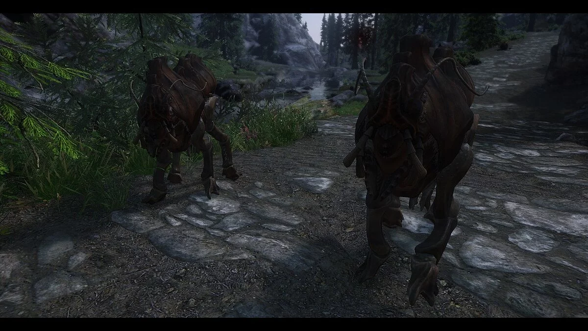Elder Scrolls 5: Skyrim Special Edition — Квама