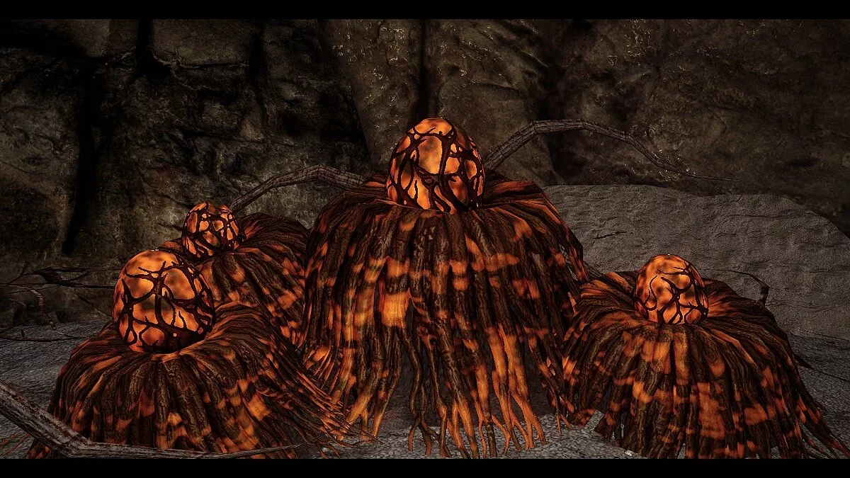 Elder Scrolls 5: Skyrim Special Edition — Квама