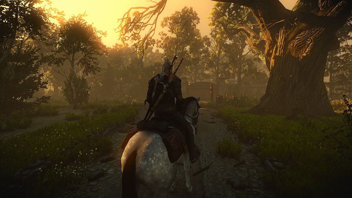 The witcher 3 wild hunt mods фото 87