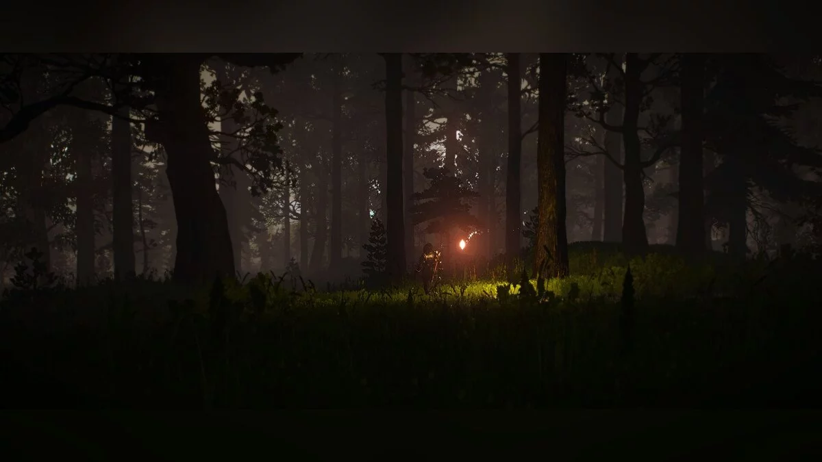 The Witcher 3: Wild Hunt — Частичное превращение игры в The Witcher 2