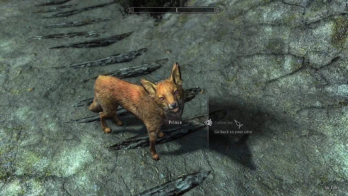 Elder Scrolls 5: Skyrim Special Edition — Питомцы компаньоны