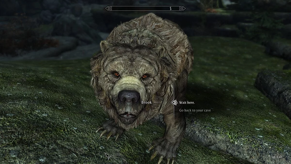 Elder Scrolls 5: Skyrim Special Edition — Питомцы компаньоны