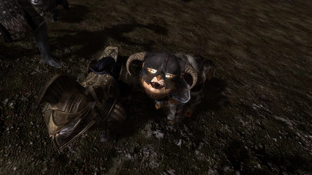 The Elder Scrolls 5: Skyrim Legendary Edition — Компаньоны и персонажи из расы альфик