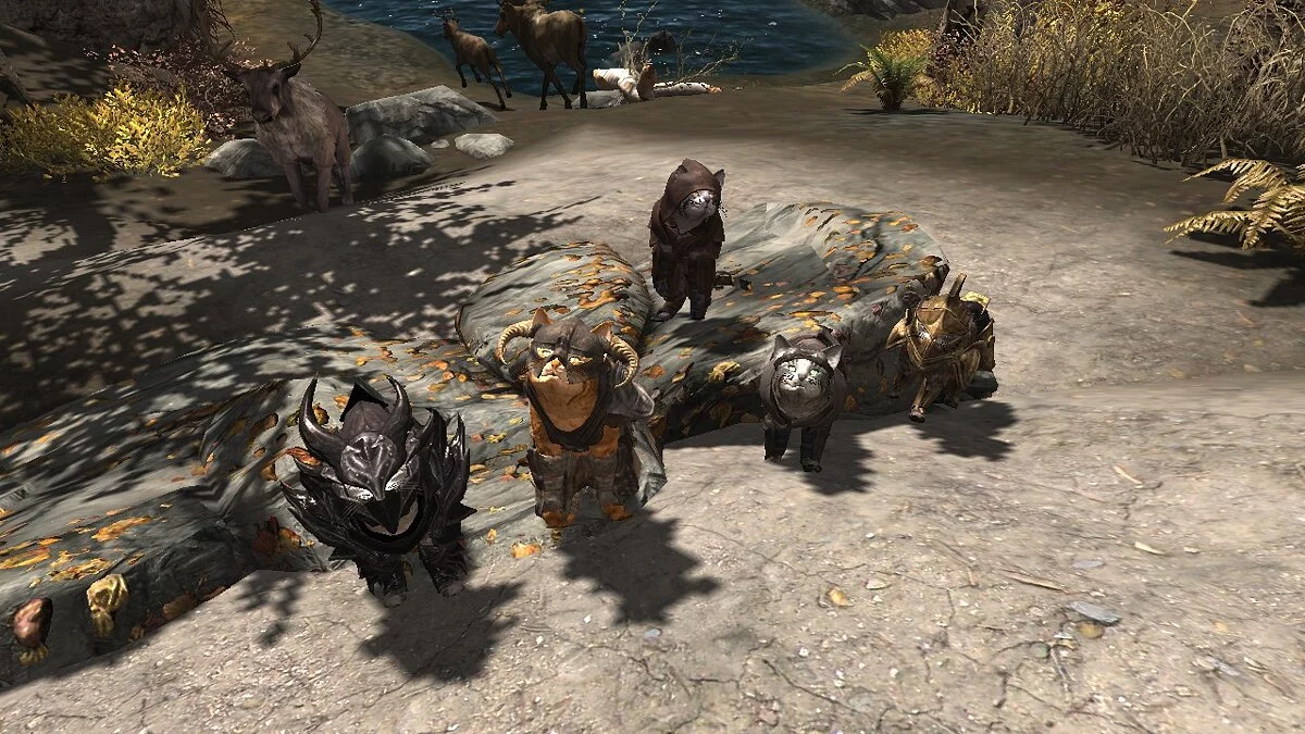 The Elder Scrolls 5: Skyrim Legendary Edition — Компаньоны и персонажи из расы альфик