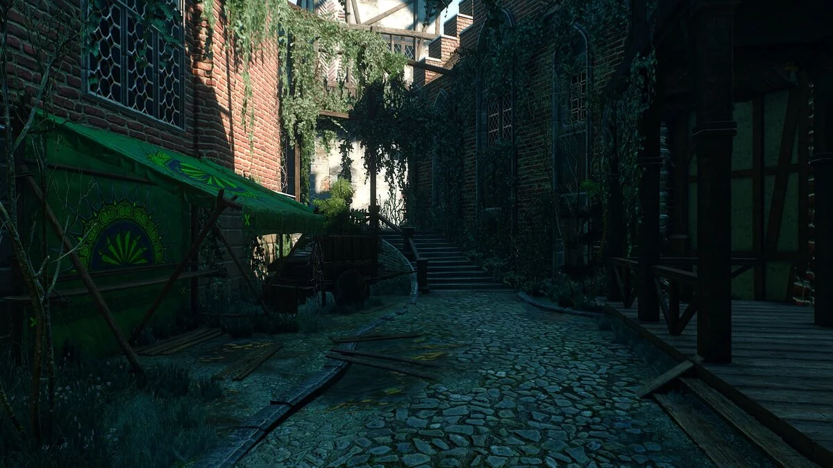 The Witcher 3: Wild Hunt - Complete Edition — Фотореалистичная графика