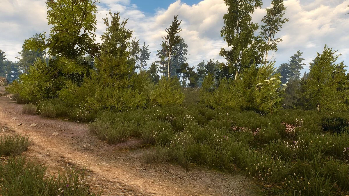 The Witcher 3: Wild Hunt - Complete Edition — Фотореалистичная графика