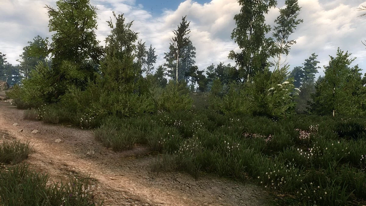 The Witcher 3: Wild Hunt - Complete Edition — Фотореалистичная графика