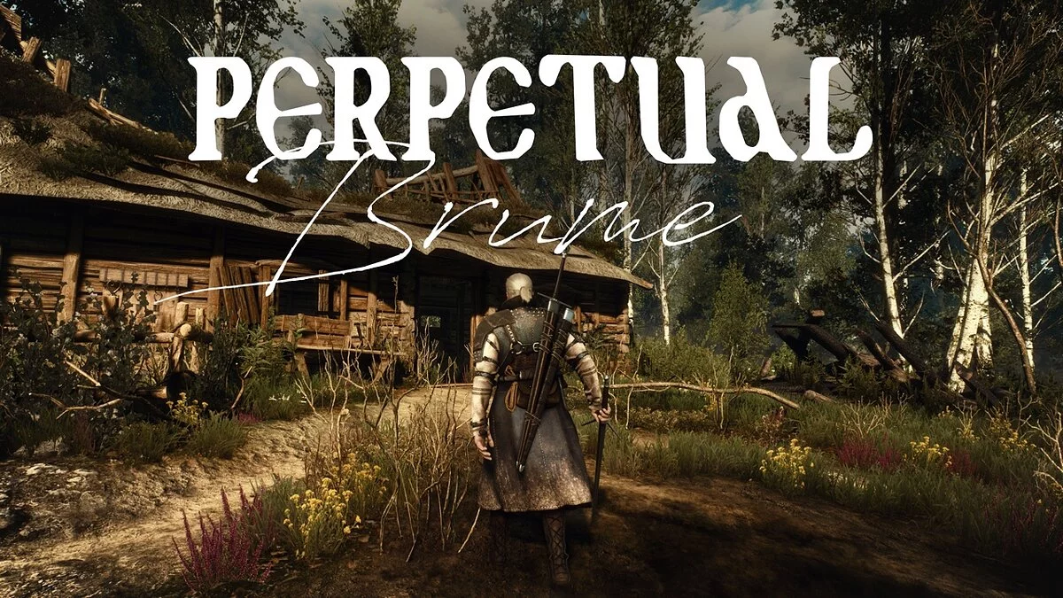 The Witcher 3: Wild Hunt - Complete Edition — Постоянный мрак