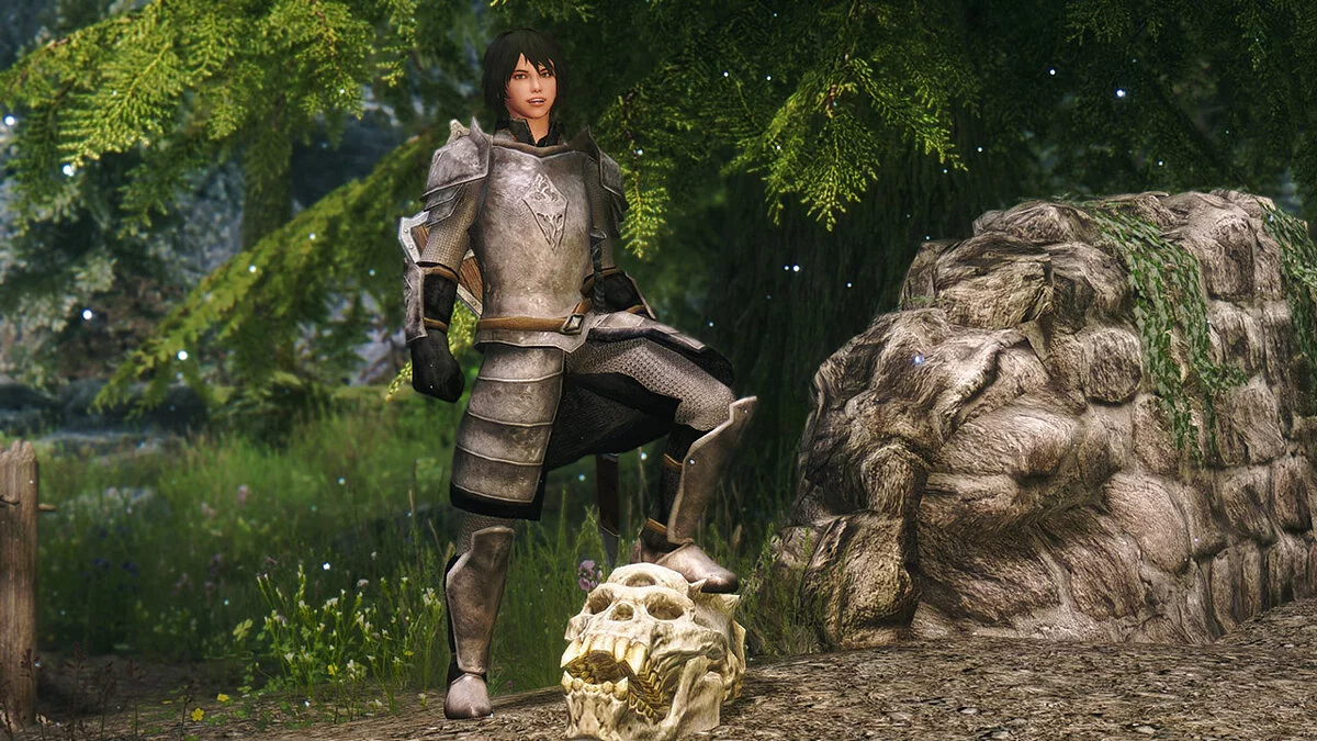 Elder Scrolls 5: Skyrim Special Edition — Семь компаньонов