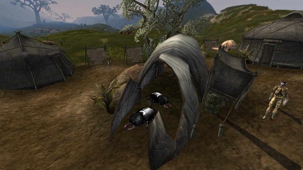 Elder Scrolls 3: Morrowind — Стадо эшлендеров