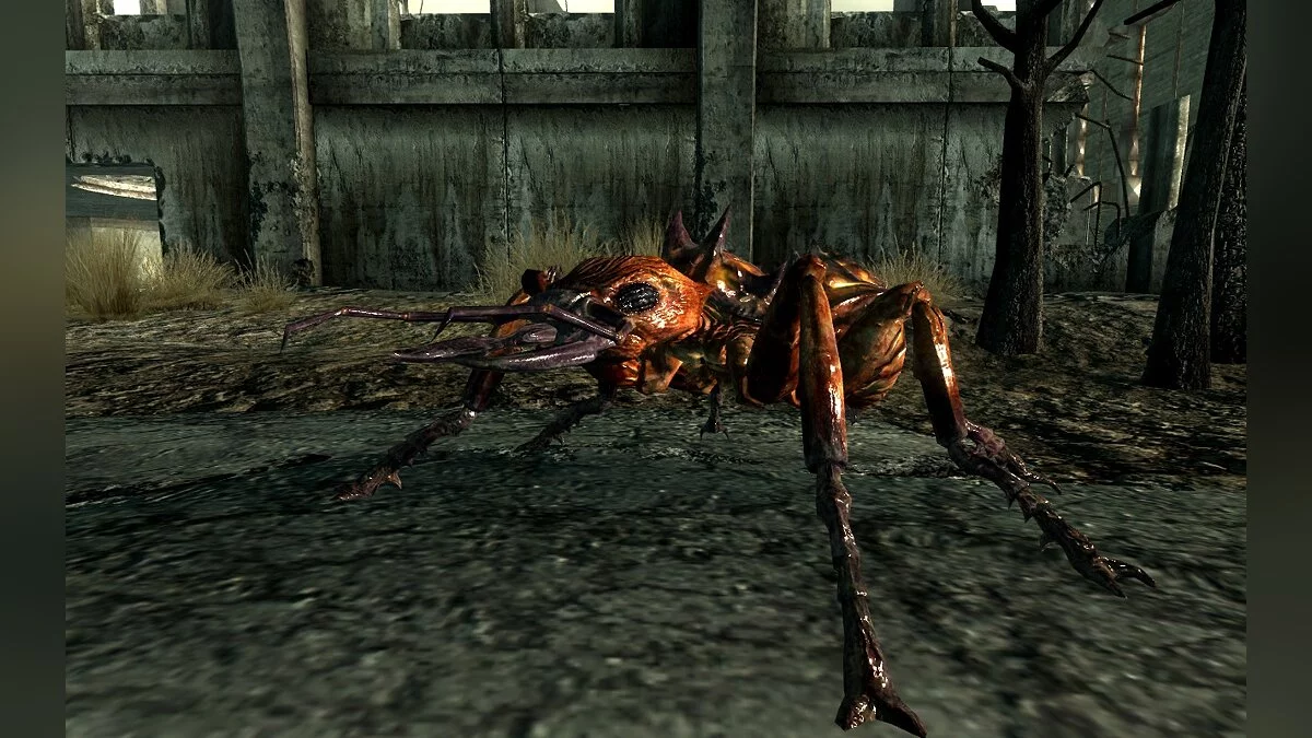 Fallout 3 — Больше огненных муравьев