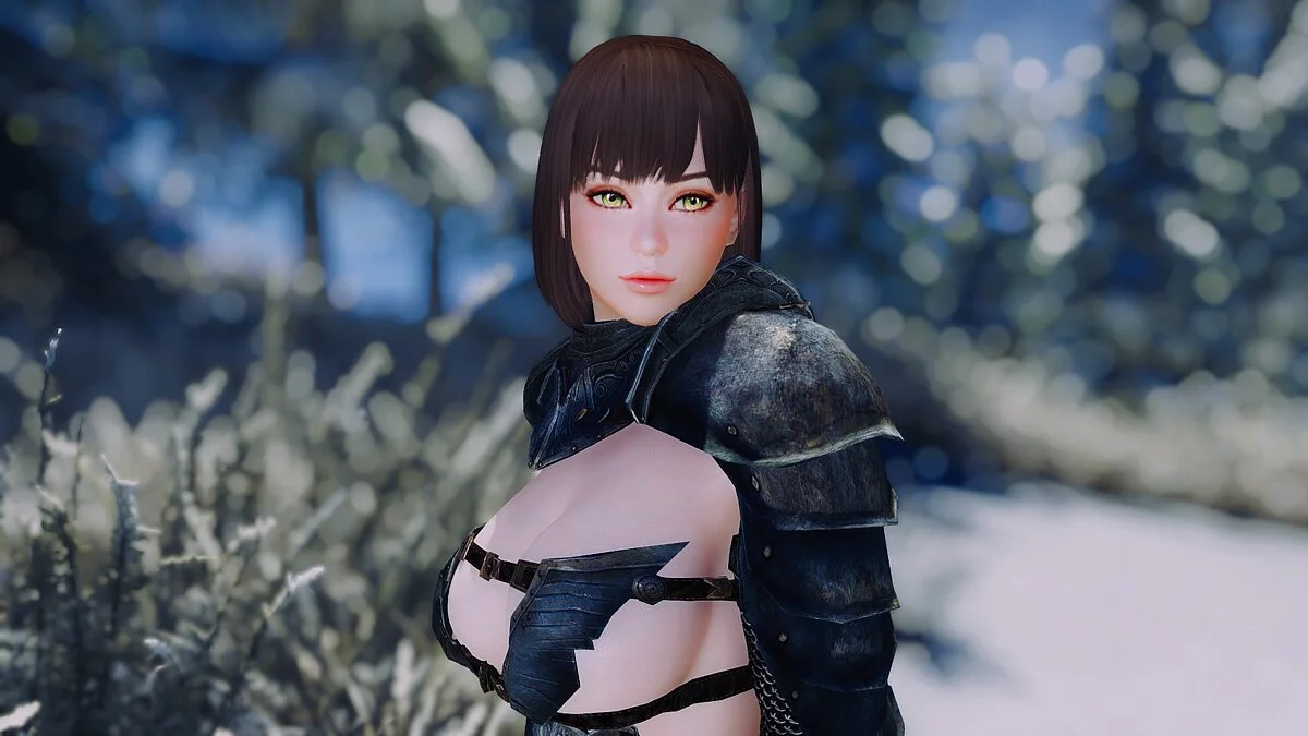 The Elder Scrolls 5: Skyrim Legendary Edition — Балтиморский компаньон