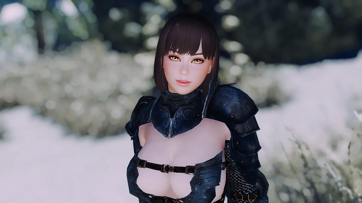 The Elder Scrolls 5: Skyrim Legendary Edition — Балтиморский компаньон