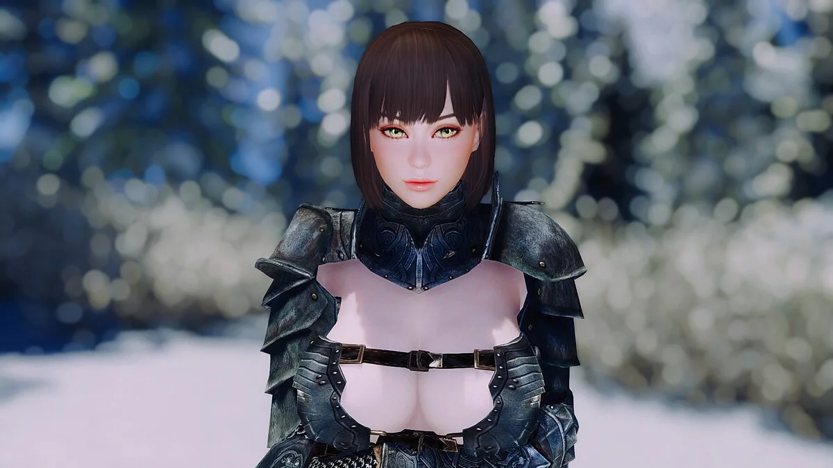 The Elder Scrolls 5: Skyrim Legendary Edition — Балтиморский компаньон