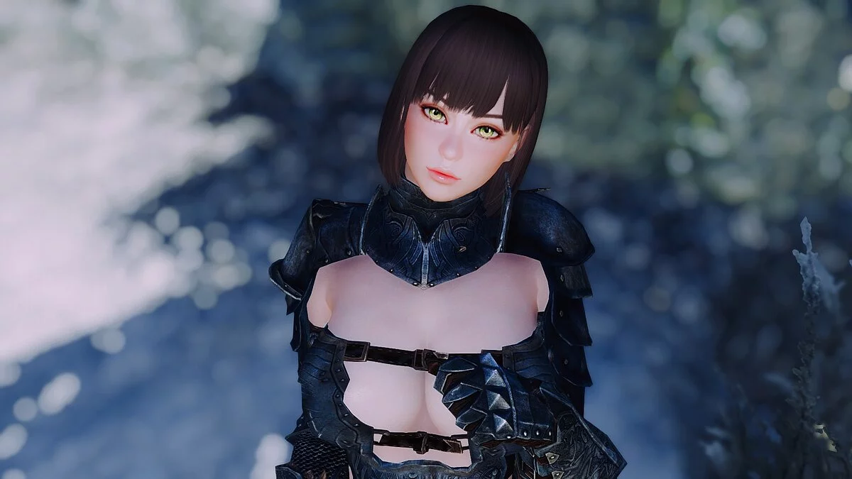 Elder Scrolls 5: Skyrim Special Edition — Балтиморский компаньон 