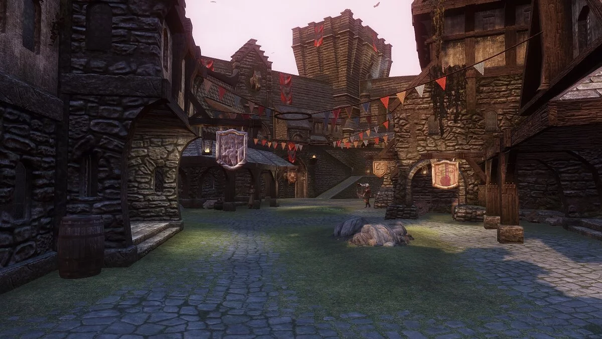 Elder Scrolls 5: Skyrim Special Edition — Чистые города