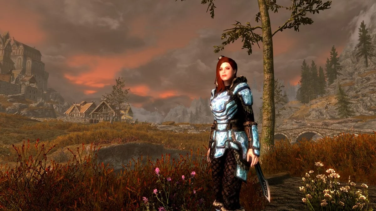 Elder Scrolls 5: Skyrim Special Edition — Пресет лица для главного героя