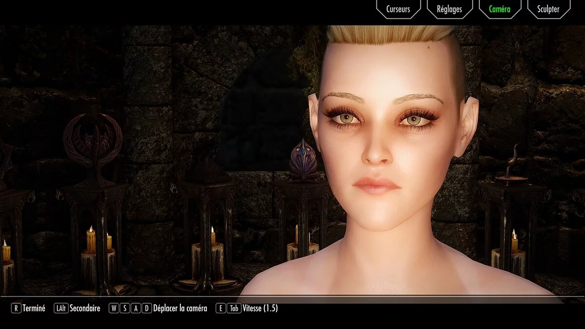 The Elder Scrolls 5: Skyrim Legendary Edition — Пресеты знаменитостей