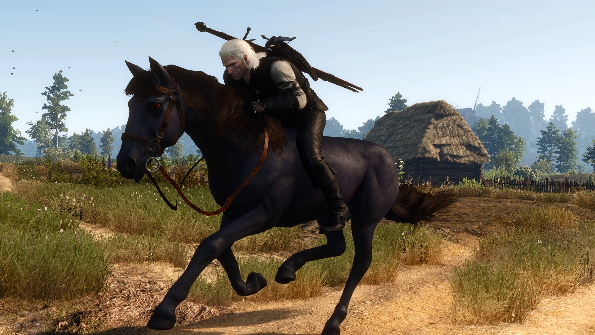 The witcher 3 roach mod фото 67