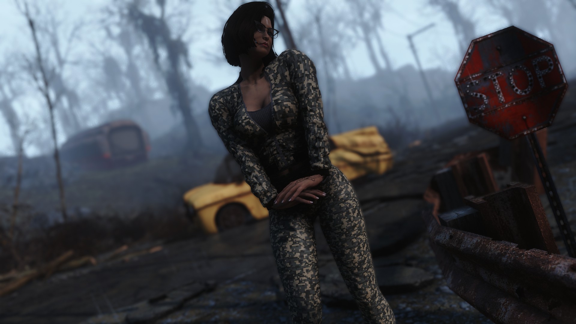 Fallout 4 пак с модами фото 73