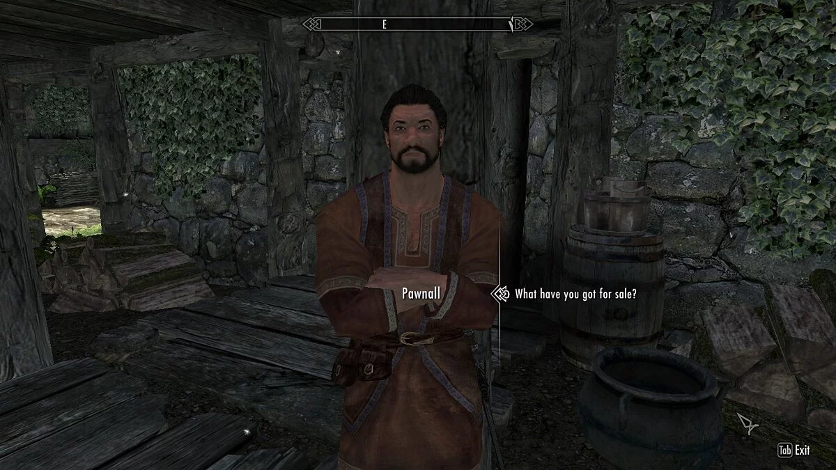 Elder Scrolls 5: Skyrim Special Edition — Карманный торговец
