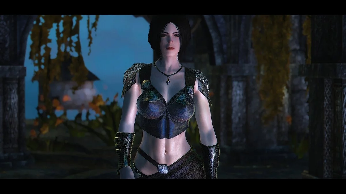 Elder Scrolls 5: Skyrim Special Edition — Компаньон Алкая