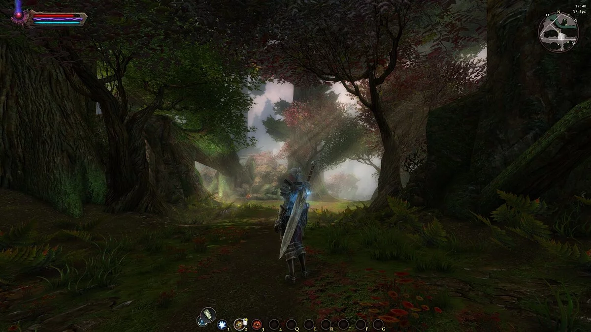 Kingdoms of Amalur: Reckoning (Special Edition) — Улучшенное освещение