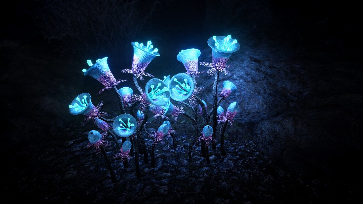 Elder Scrolls 5: Skyrim Special Edition — Улучшенный светящийся цветок