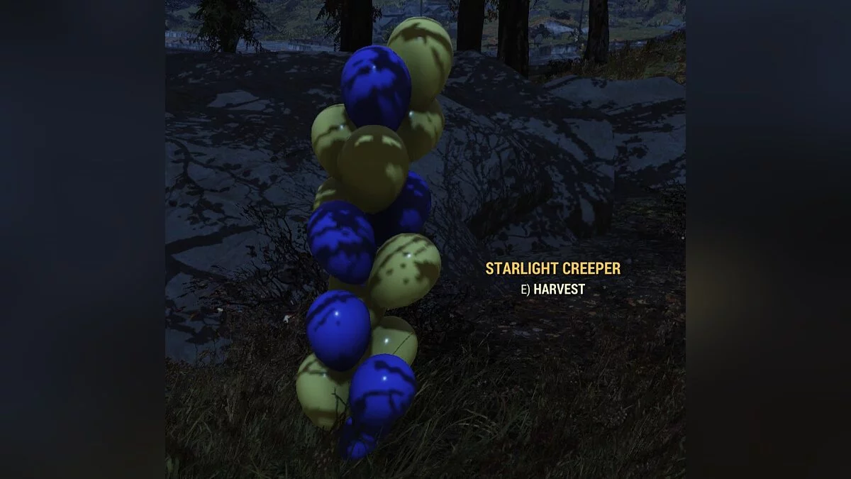 Fallout 76 — Воздушные шары