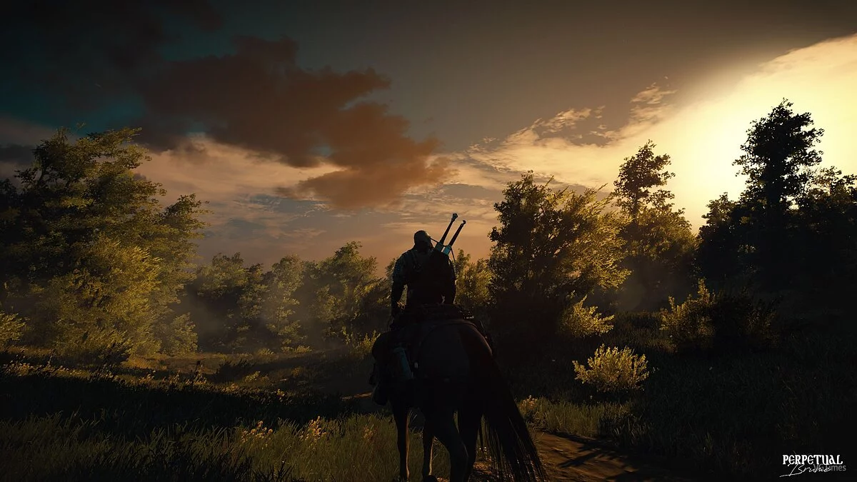 The Witcher 3: Wild Hunt — Вечная дымка