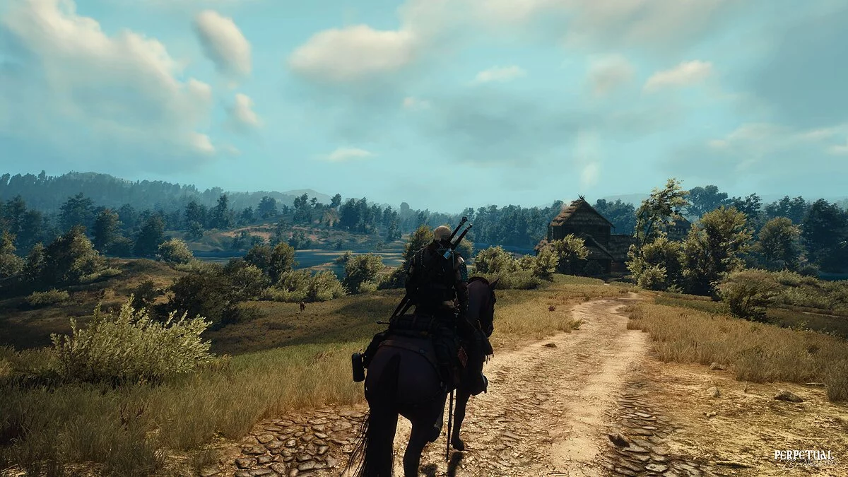 The Witcher 3: Wild Hunt — Вечная дымка