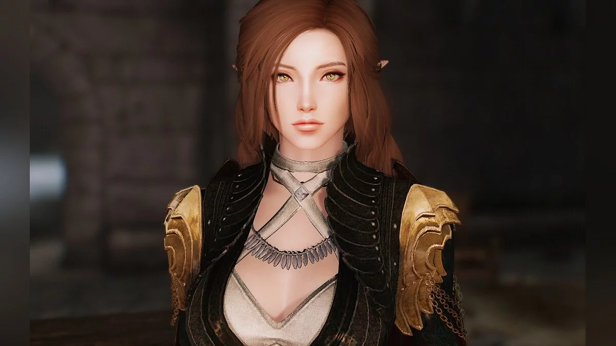 The Elder Scrolls 5: Skyrim Legendary Edition — Предустановка лесного эльфа