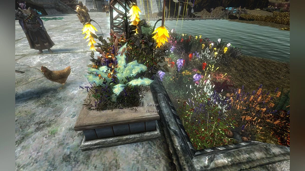 The Elder Scrolls 5: Skyrim Legendary Edition — Новые звуки корня Нирна