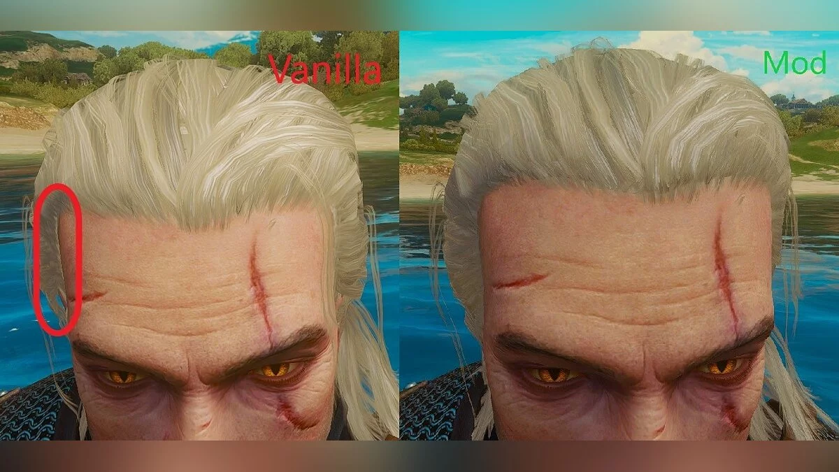 The Witcher 3: Wild Hunt - Complete Edition — Более густые волосы