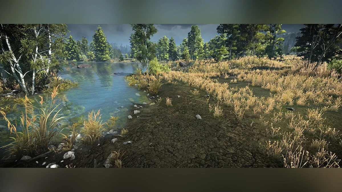 The Witcher 3: Wild Hunt - Complete Edition — Новиград - Велен местность в 4K