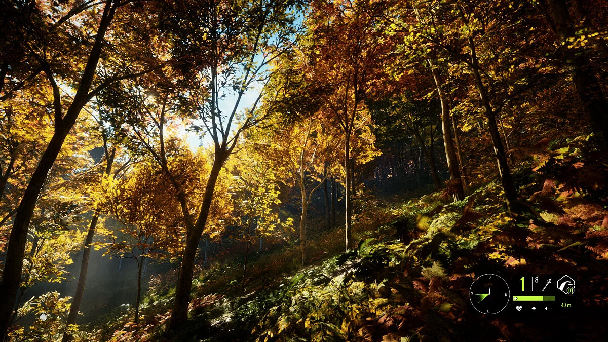 theHunter: Call of the Wild — Улучшенное освещение