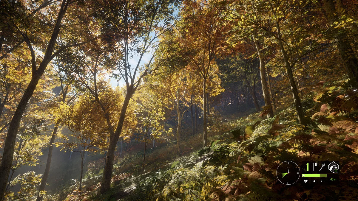 theHunter: Call of the Wild — Улучшенное освещение