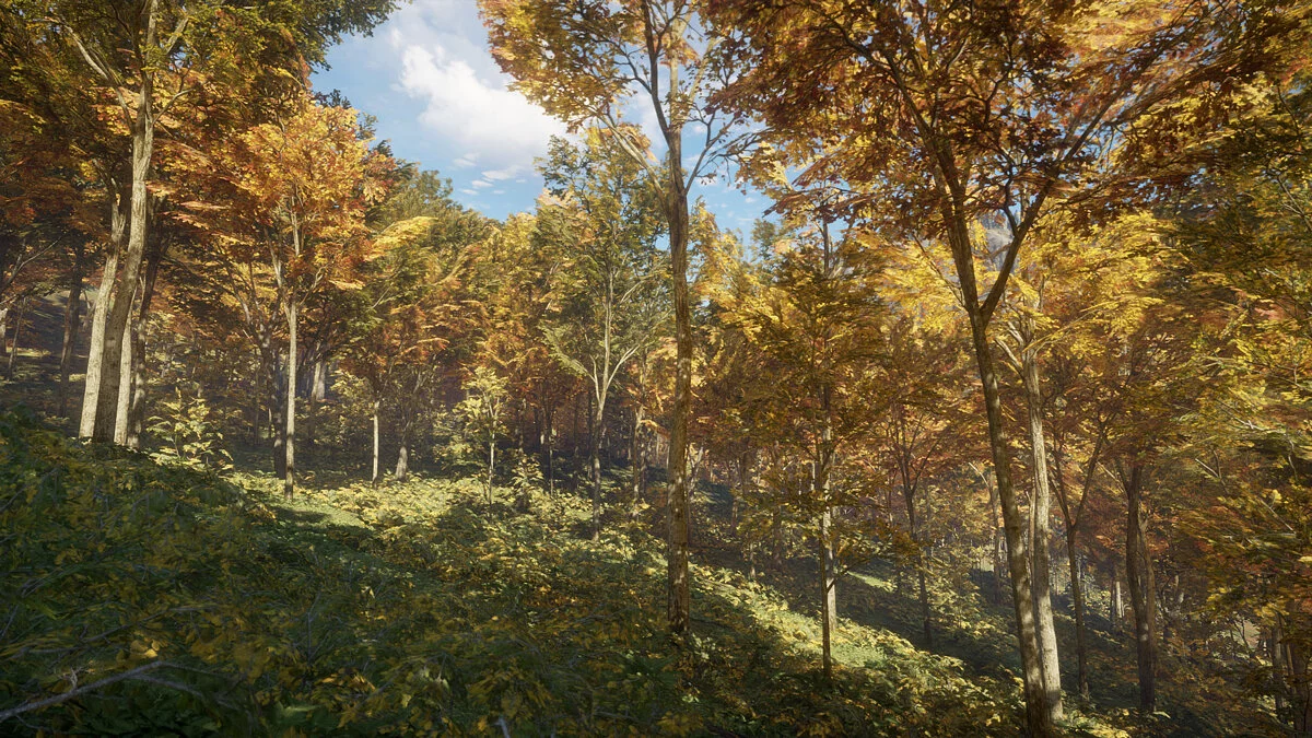 theHunter: Call of the Wild — Улучшенное освещение