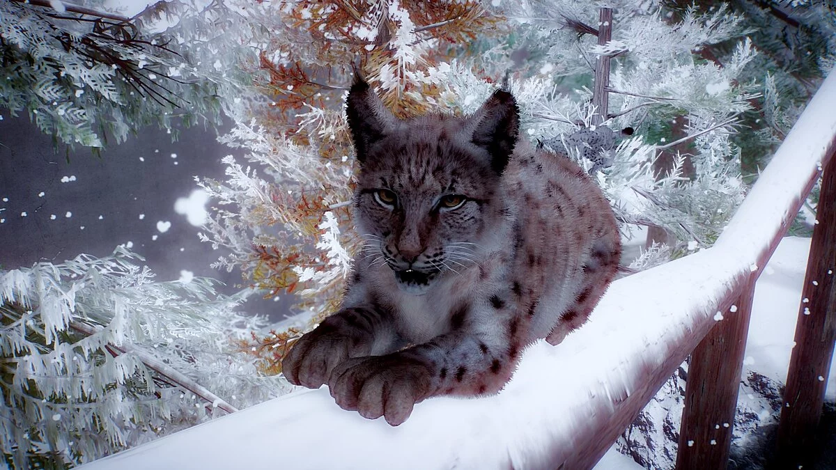 Planet Zoo — Евразийская рысь