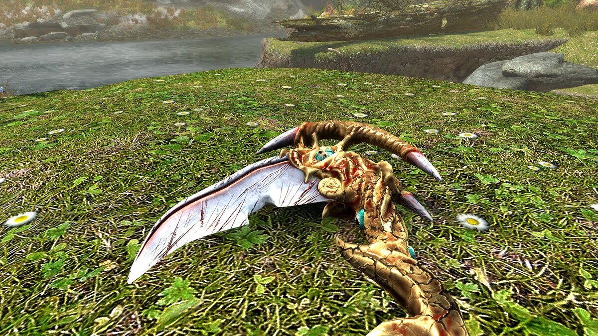 Elder Scrolls 5: Skyrim Special Edition — Коса изгоев
