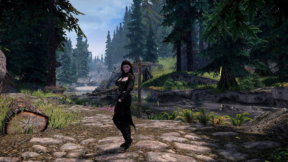 Elder Scrolls 5: Skyrim Special Edition — Компаньон Вероника
