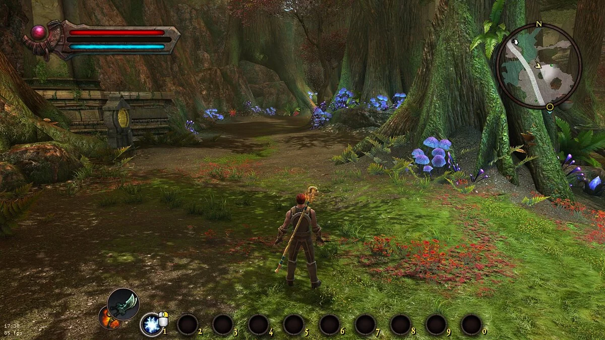 Kingdoms of Amalur: Reckoning (Special Edition) — Улучшенная цветокоррекция