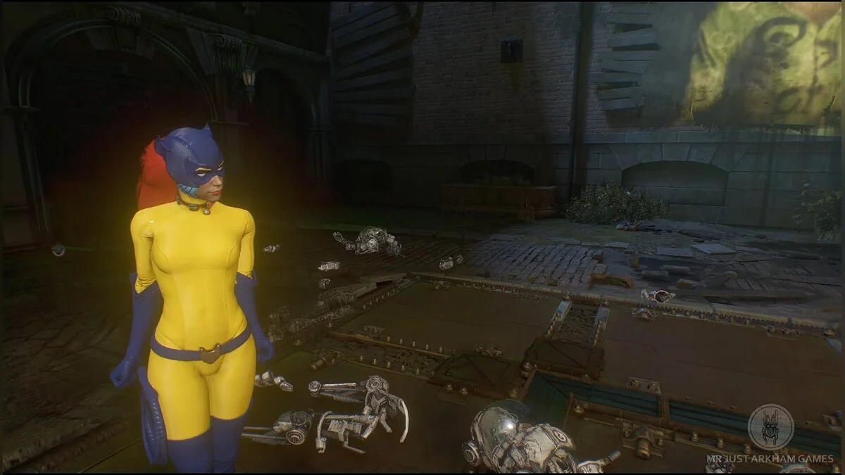 Batman: Arkham Knight Game of the Year Edition — Мстительная Женщина-кошка