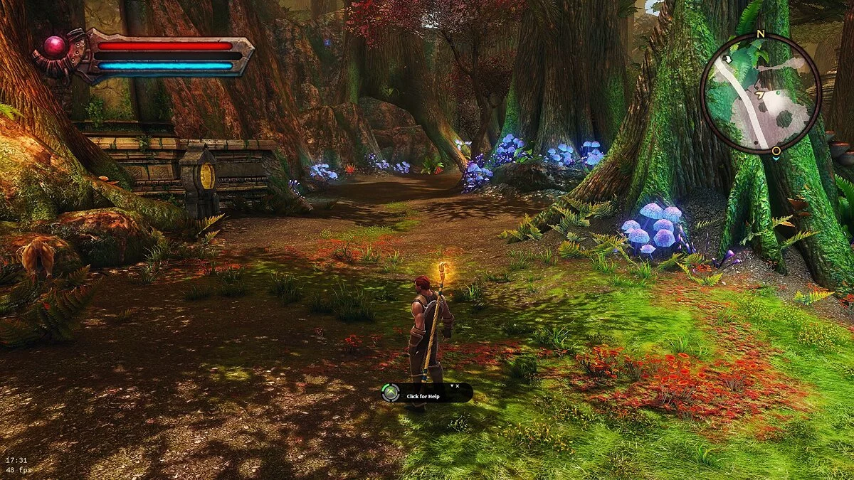 Kingdoms of Amalur: Reckoning — Улучшенные цвета