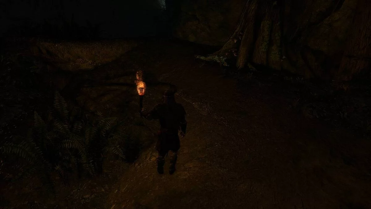 Elder Scrolls 5: Skyrim Special Edition — Удаление травы в пещерах