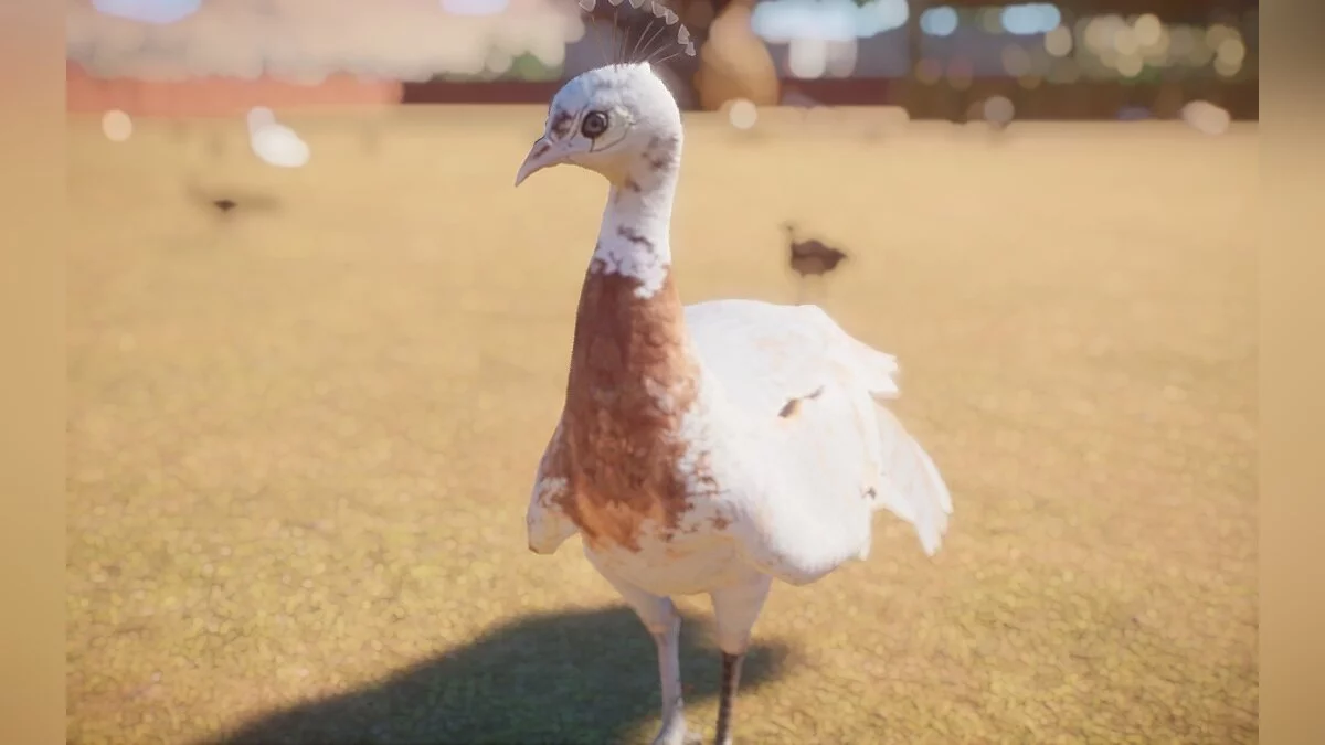 Planet Zoo — Разные цвета павлинов